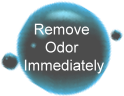 Remove odor immediately